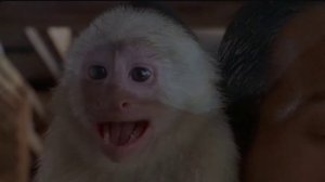 Эпизод2. Анаконда 2: Охота за проклятой орхидеей | Anacondas: The Hunt for the Blood Orchid (2004)