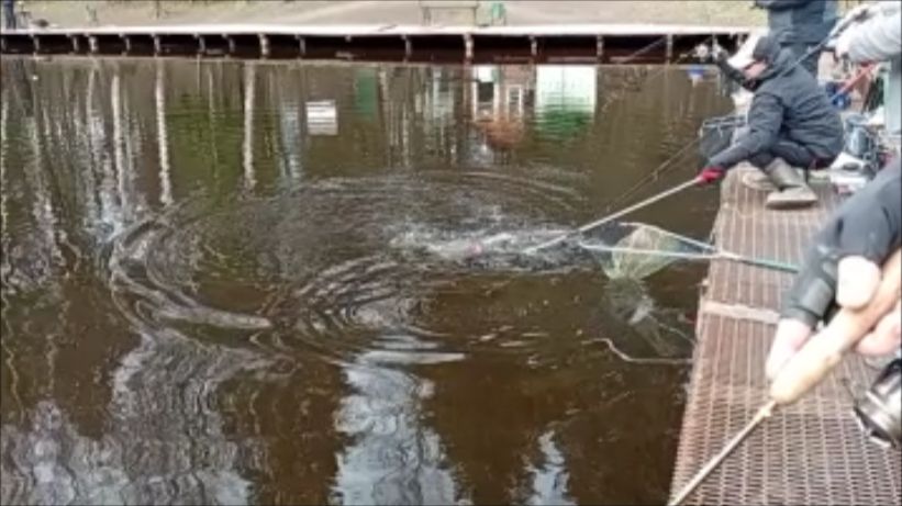 Рыбалка на Спорт-зоне до запуска. Клёвое место Лосиный остров.