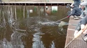 Рыбалка на Спорт-зоне до запуска. Клёвое место Лосиный остров.