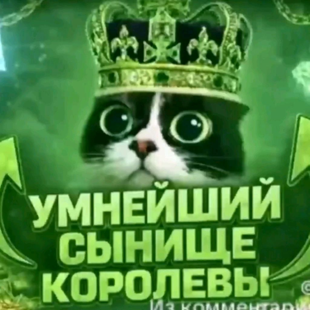 ашкурим обисьрим