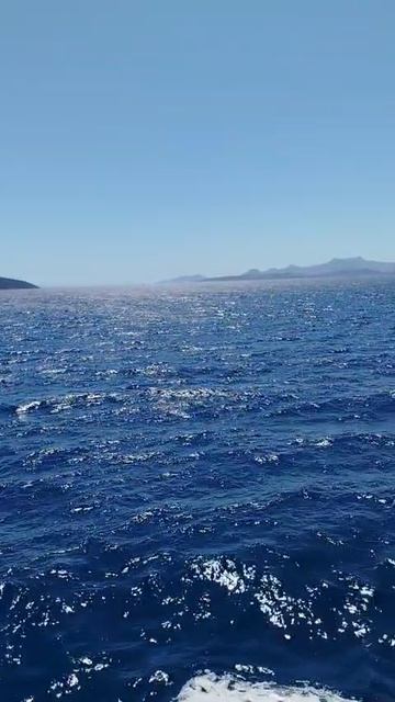 Несёмся по заливу Гёкова