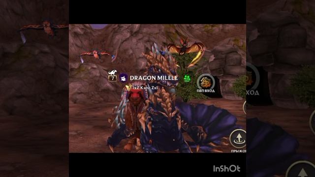 Мы с DRAGON MILELE (опис)