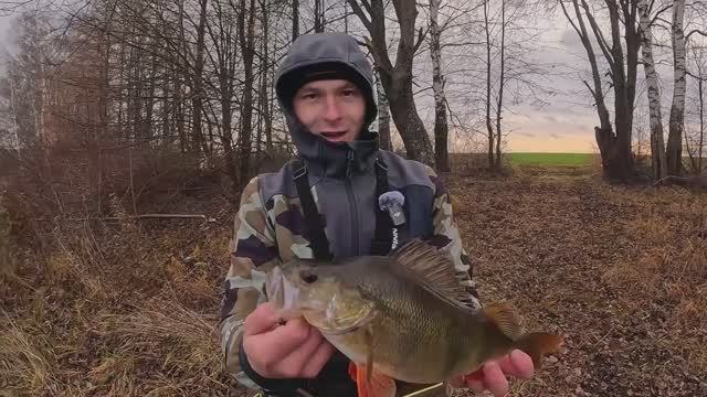 СТОЛЬКО КРУПНЫХ ОКУНЕЙ я еще НЕ ЛОВИЛ!