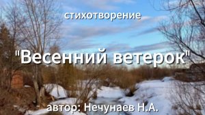 стихотворение "Весенний ветерок" читает автор Нечунаев Н.А.