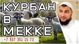 Начало приёма заявок на Курбан (Жертвоприношение) в Мекке