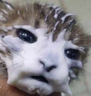 моё первое видео