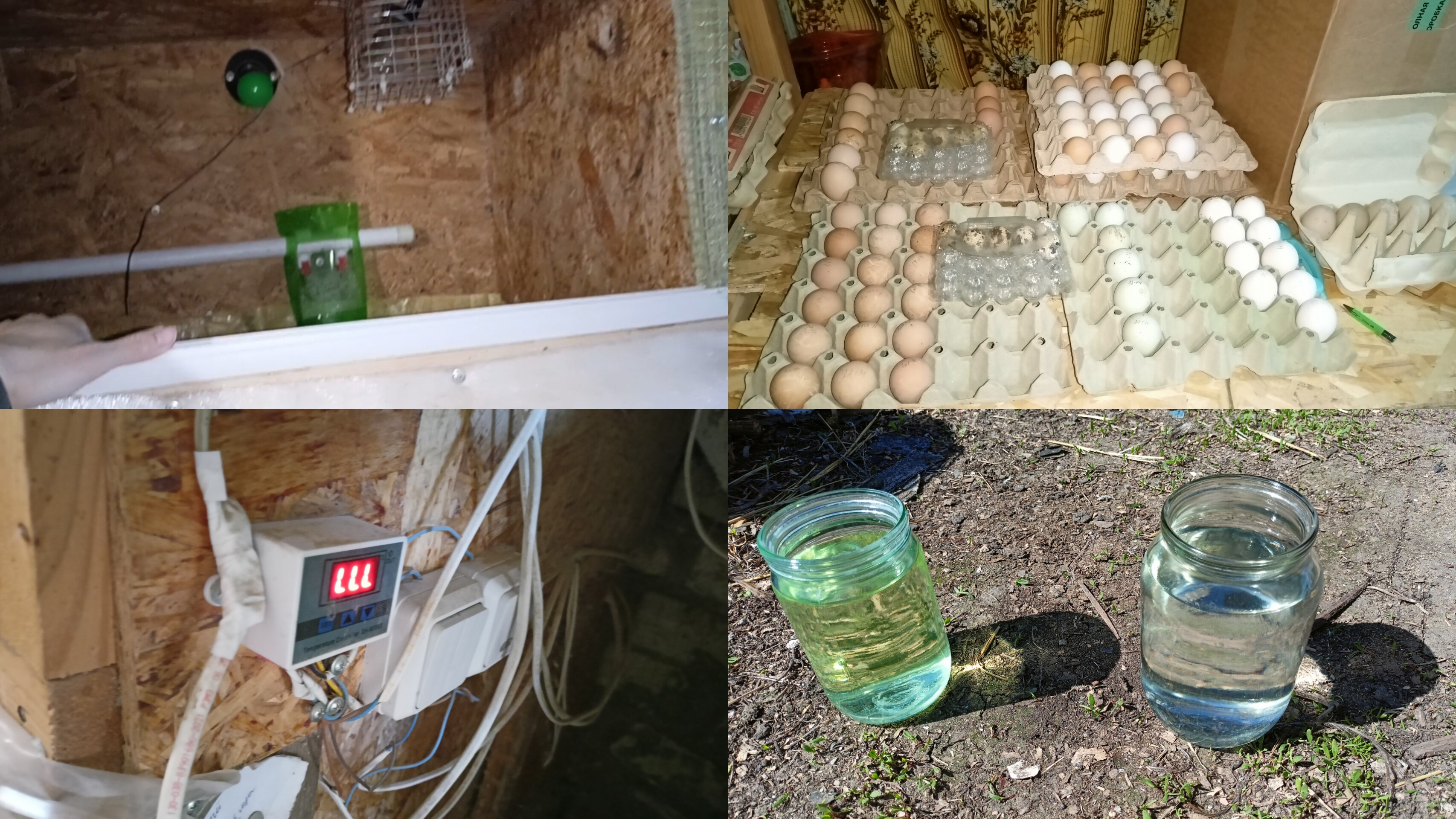 Подготавливаю брудер. Собираю яйцо. Витамин, ампролиум. Переедание птиц. Сломался терморегулятор