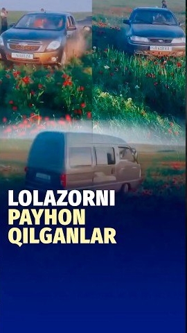🍿 Lolazorni Payhon Qilganlar