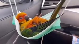 Отдыхаем 🍷