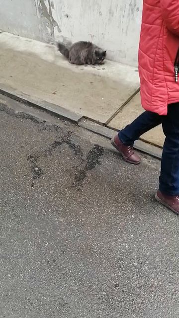 Доставка еды