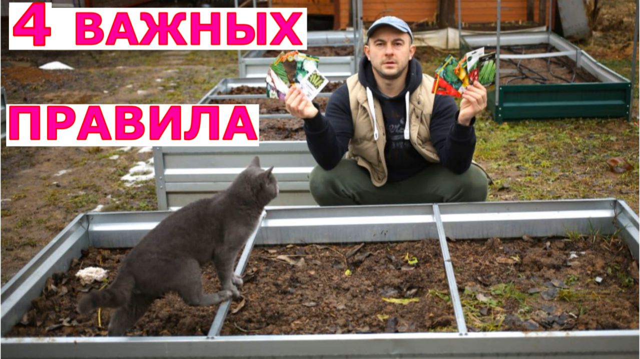 СЕВООБОРОТ на огороде по правилам. ЧТО и ПОСЛЕ ЧЕГО сажаем на грядках?