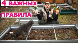 СЕВООБОРОТ на огороде по правилам. ЧТО и ПОСЛЕ ЧЕГО сажаем на грядках?