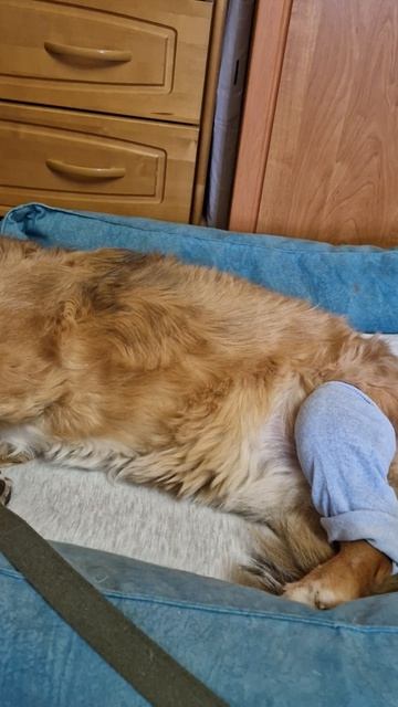 Второй день после операции.