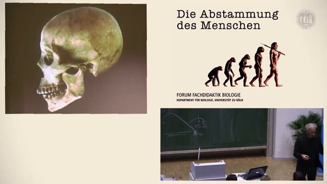 Ursprünge, Umbrüche, Umwege_6 Millionen Jahre Mensch