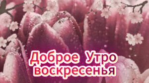 Доброе утро воскресенья: музыкальная открытка и пожелания доброго утра | Домохозяйка