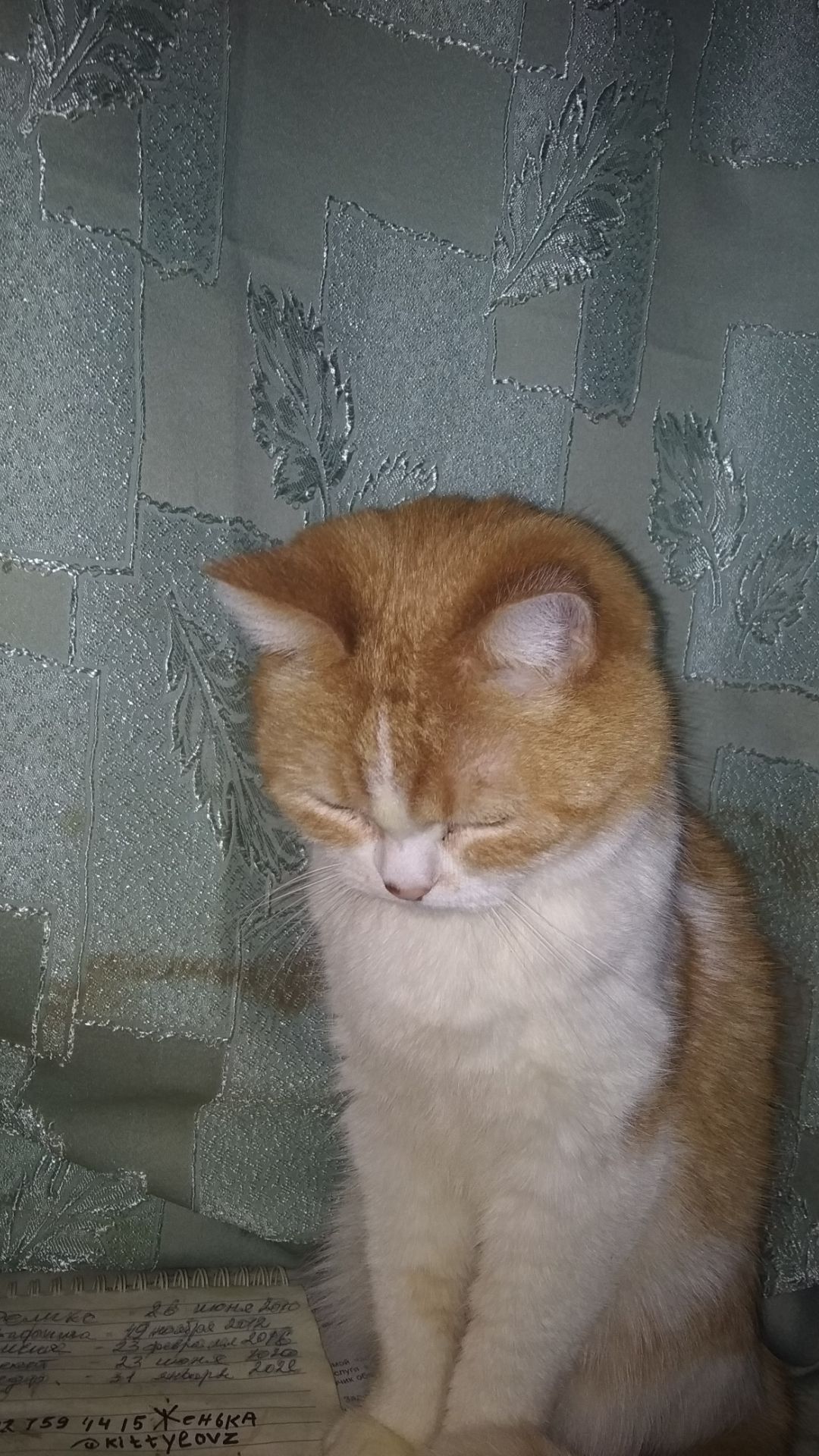 Ах, зашибись, так зашибись..!😆