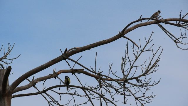 Кадры дня 14 апреля 2026 / Ижора. Межстоличье.