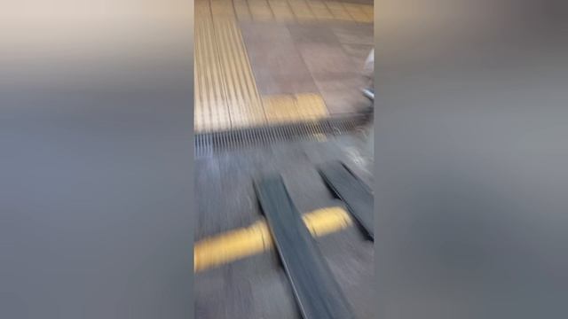 гуляю с собакой часть 3.