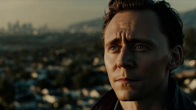 Птицы чёрные