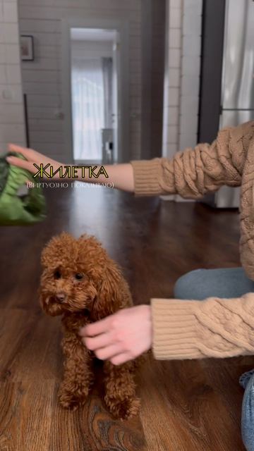 Собираемся на прогулку