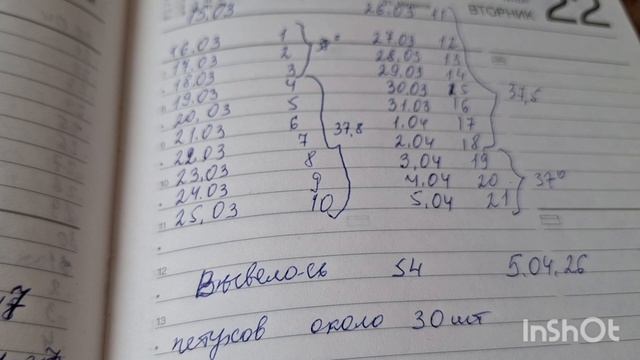 Цыплята переезжают в сарайчик. У меня почти одни петухи🤦♀️