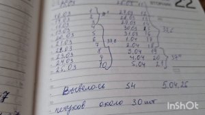 Цыплята переезжают в сарайчик. Петухов очень много🤦♀️