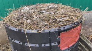 В Тюмень пришли дожди! О компостере, ответы и советы🤗