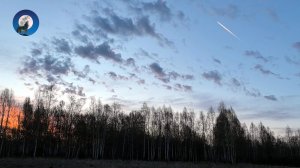 КОСАЧИ ТОКУЮТ ЗА СТЕНКОЙ ПАЛАТКИ