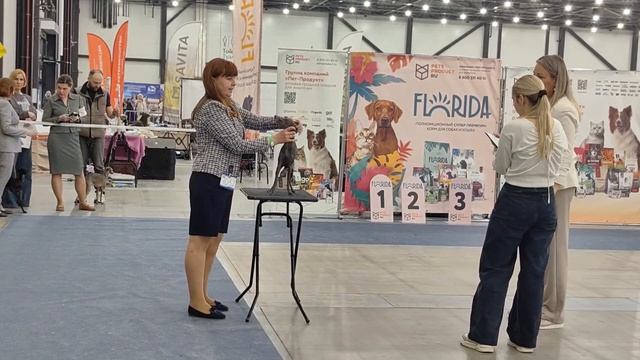 РЕЙТИНГОВАЯ ВЫСТАВКА СОБАК ВСЕХ ПОРОД С ОСОБЫМ СТАТУСОМ 