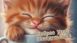 Доброе утро понедельника: открытки и пожелания удачной недели | Домохозяйка