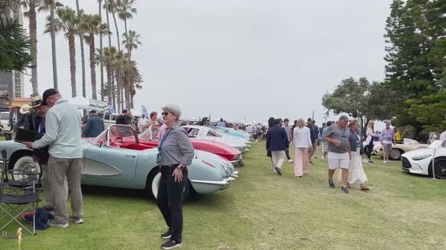 Конкурс элегантности ла Хойя. 4K UHD