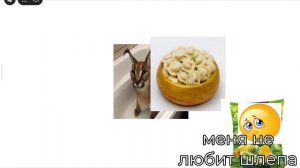 мой фильм про шлёпу