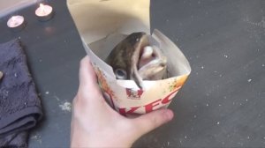 How to make KFC Popcorn Chicken