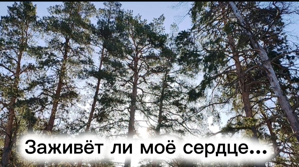 Заживёт ли моё сердце...