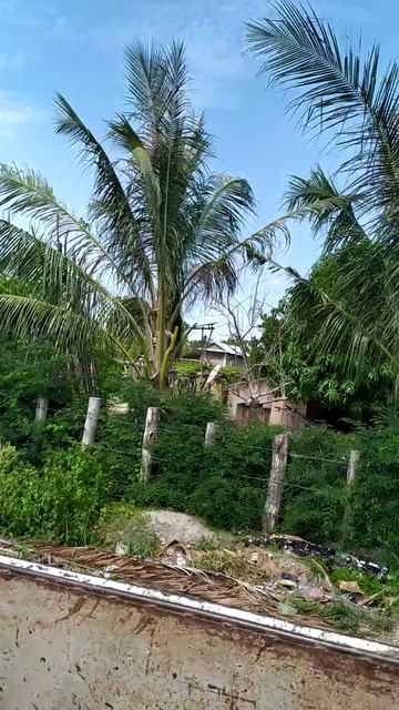 Автостопом по Камбоджи, февраль,2020 год