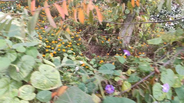 Один из дней города Евпатории  29 сентября 2021 г  Крым ХАН БАТОН XAH 6ATOH  VID_20210929_151411