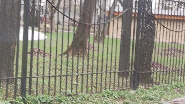 Творите добро. 19 апреля ждите солнце ☀️ будет....