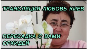 САМВЕЛ АДАМЯН, ТРАНСЛЯЦИЯ ЛЮБОВЬ КИЕВ, ПЕРЕСАДКА С ВАМИ ОРХИДЕЙ..