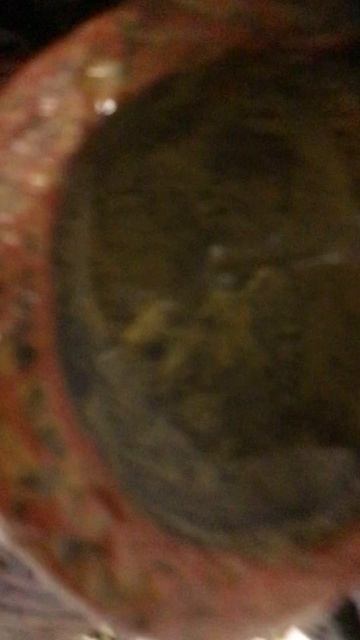 Как выглядит мой дом