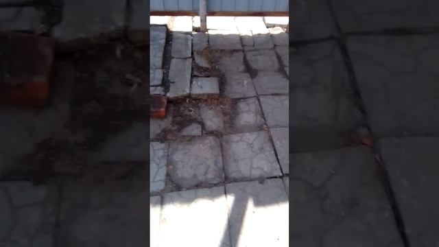 рассказываю про маю игру стёпа стэп все уровни