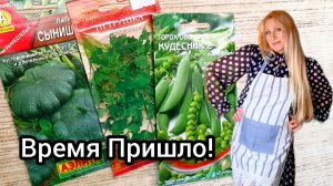 Анонимное Общество Огородников! Мои Первенцы! Бутерброды Весенние!