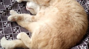 События одного дня.