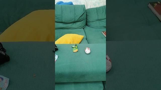 VID_20260419_173639.mp4