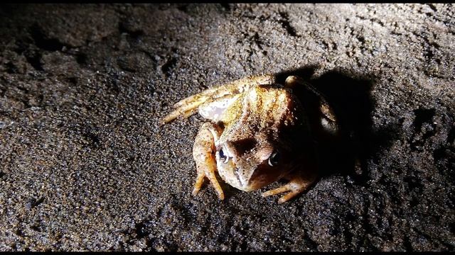 П. Коэльо. О любви и Своей Стезе. Алхимик. Фрагмент 14 из 23