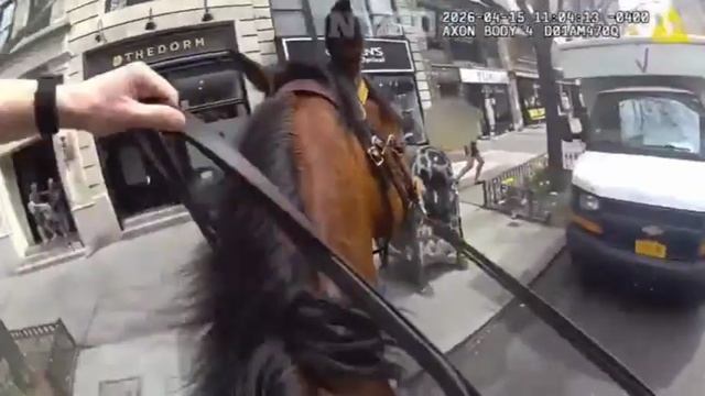 Эпичная погоня офицера полиции Нью-Йорка за вором - карманником.