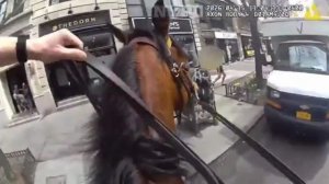 Эпичная погоня офицера полиции Нью-Йорка за вором - карманником.