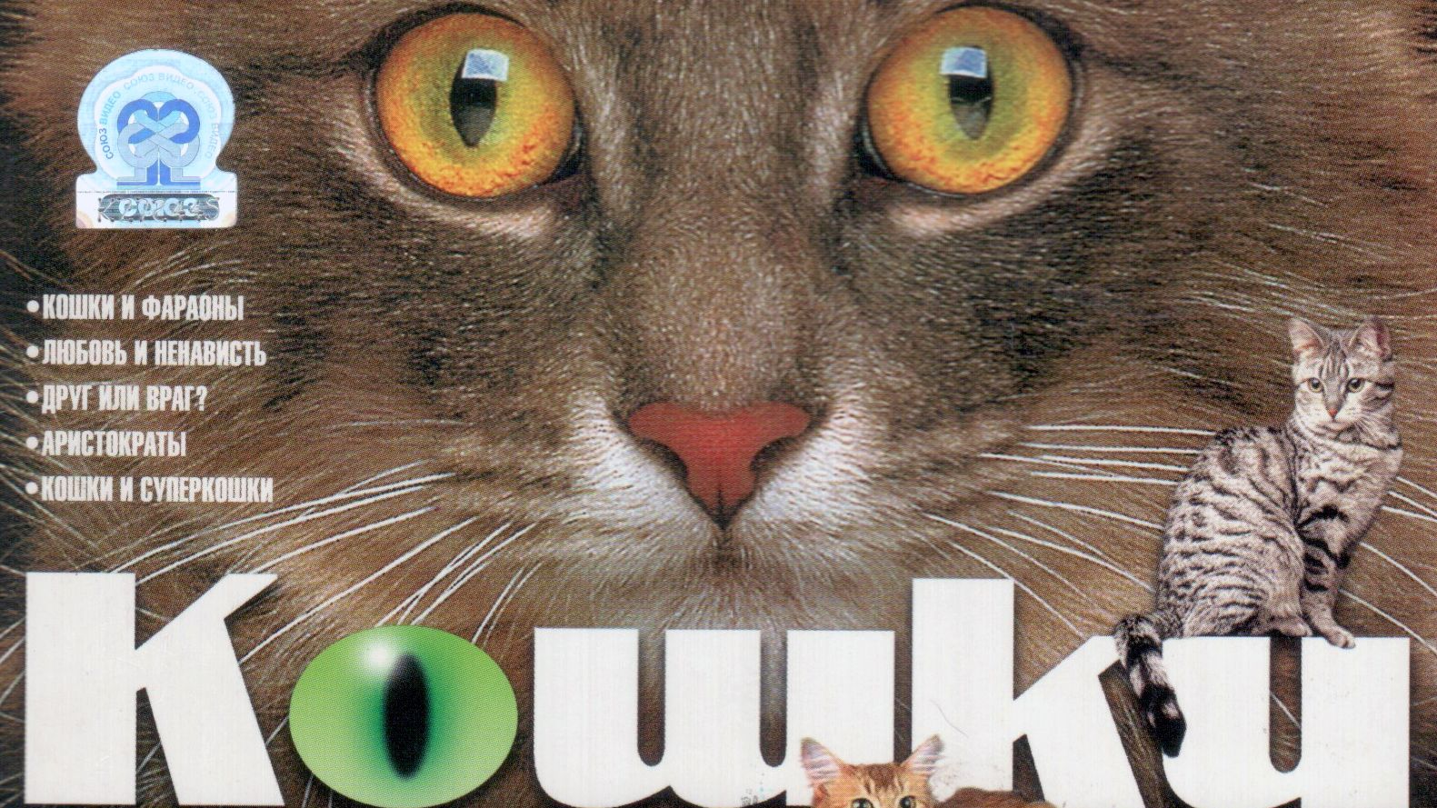 Кошки - 02. Любовь и ненависть