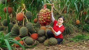 Сбор урожая диких ананасов весом более 1000 кг.  Идем на рынок продавать. — Elli Life.