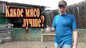 Условия содержания  //  У довольных животных и качество мяса довольное