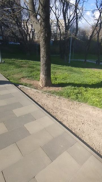 приморский парк Таганрог